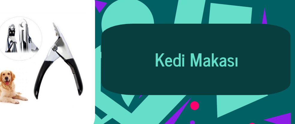 Token Tabanlı Tasarım