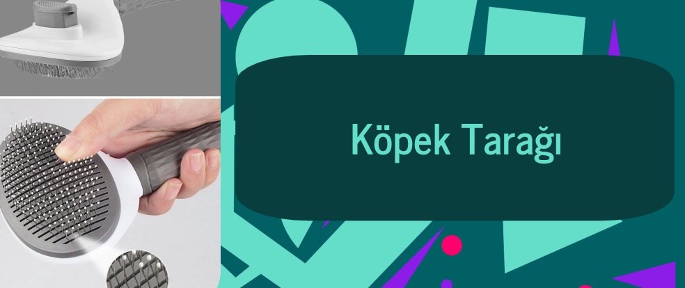 Token Tabanlı Tasarım